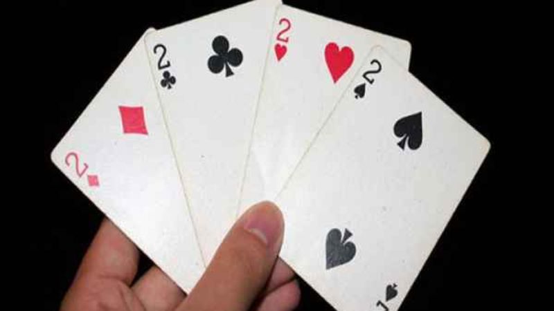 Bốn chú lợn quý tộc có thể ăn thức ăn màu trắng không? Vai trò của chúng là gì?